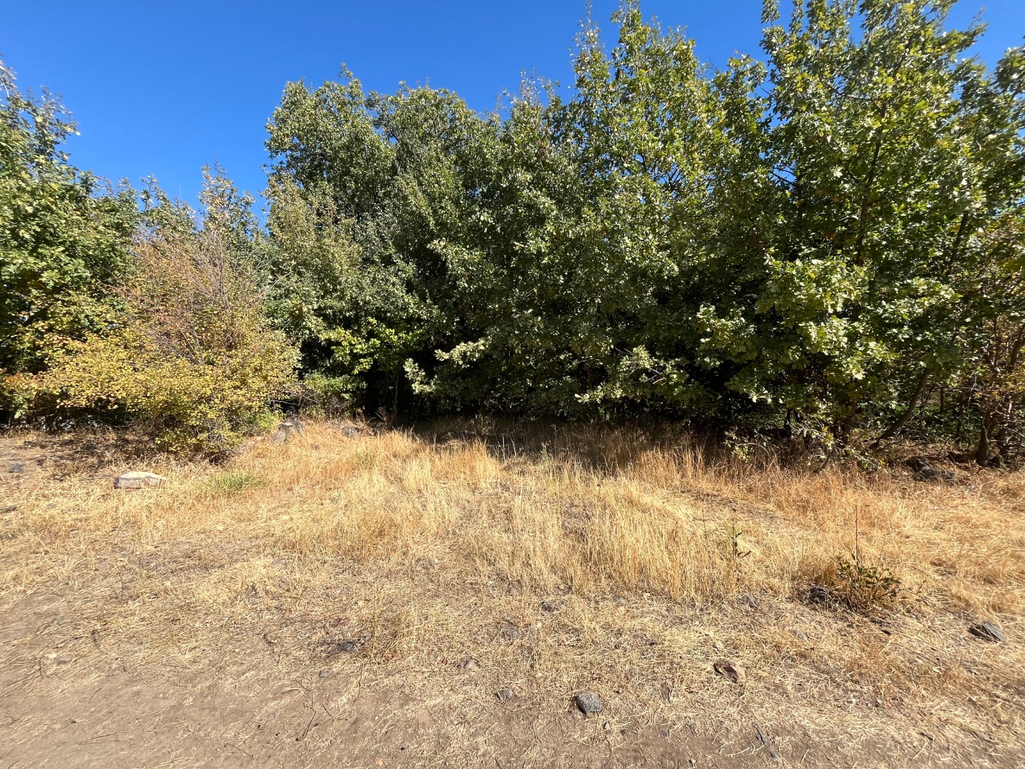 KAYSERİ DEVELİ ZİLE MAHALLESİ ÇAYBAĞLARI MEVKİİNDE SATILIK HOBİ BAHÇESİ